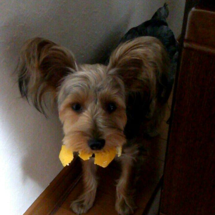 3b56ff5f 2c11 4783 99b5 2ca73a8bff14