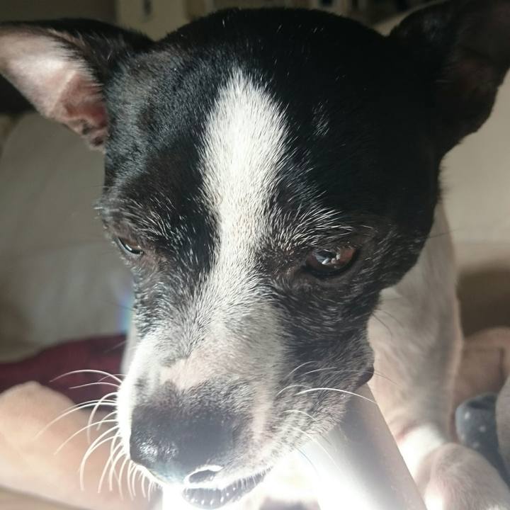 3b5776cb 50c3 4cb3 80c5 fce9c3cd6f57