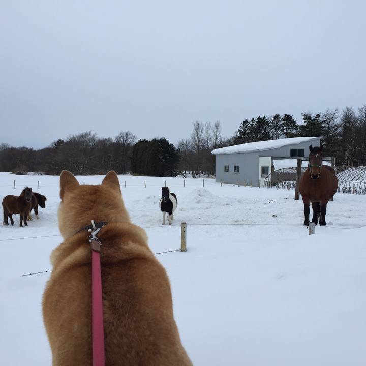 3b584d8b bdc6 4268 8340 a33df37a6060