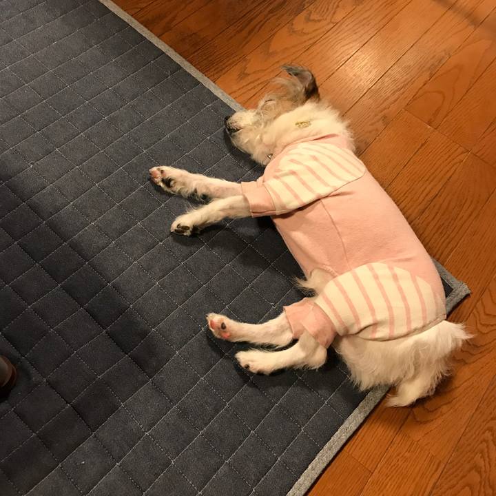 3b58abb8 391b 4a9d 9052 e11518a00784