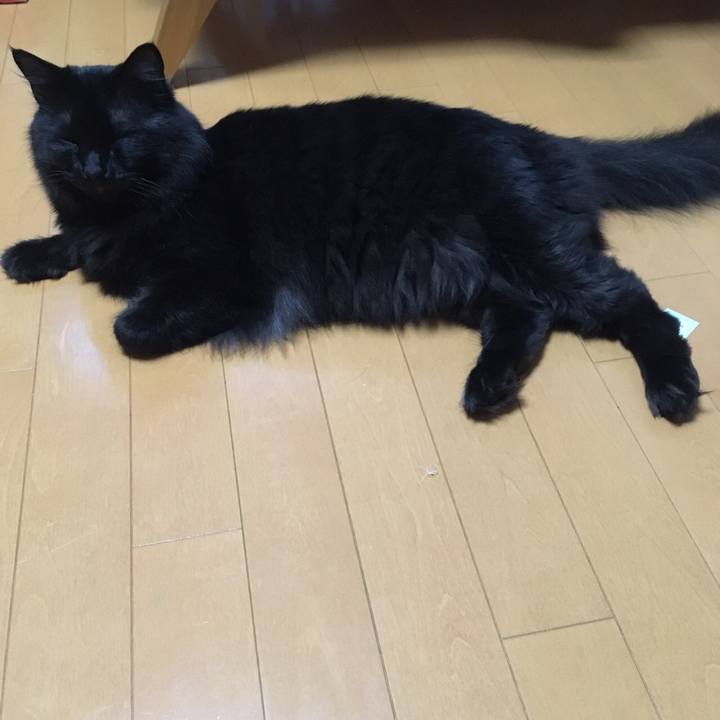 3b59a7a9 2687 4013 b338 e9680484c769