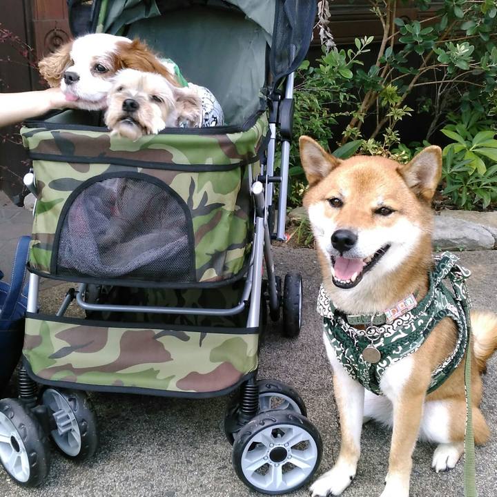 3b59c15e 1a0c 49b7 a2e5 b06b8a3dcc68