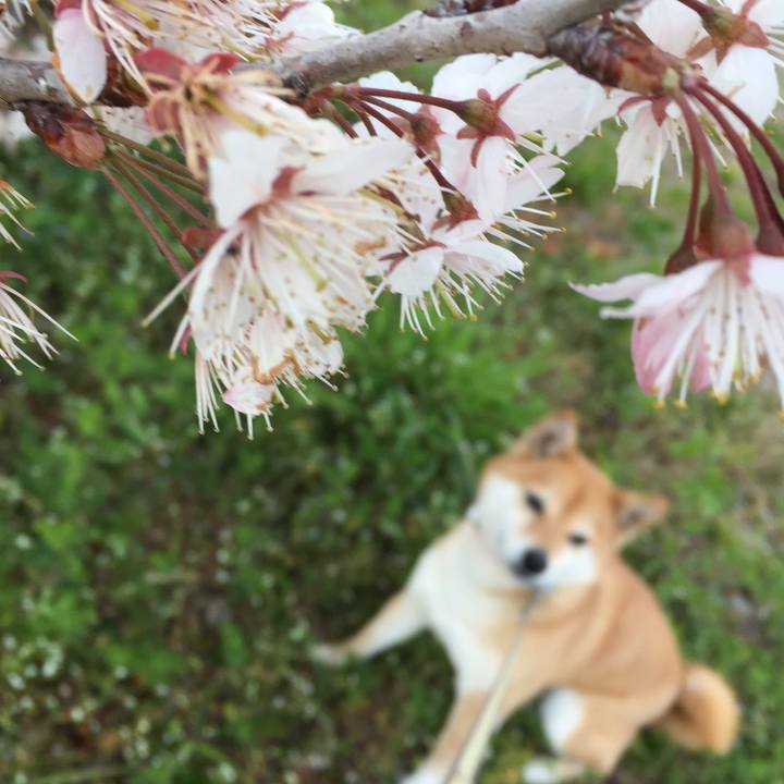 3b59f436 de25 47a2 a86b daab2e585b0f