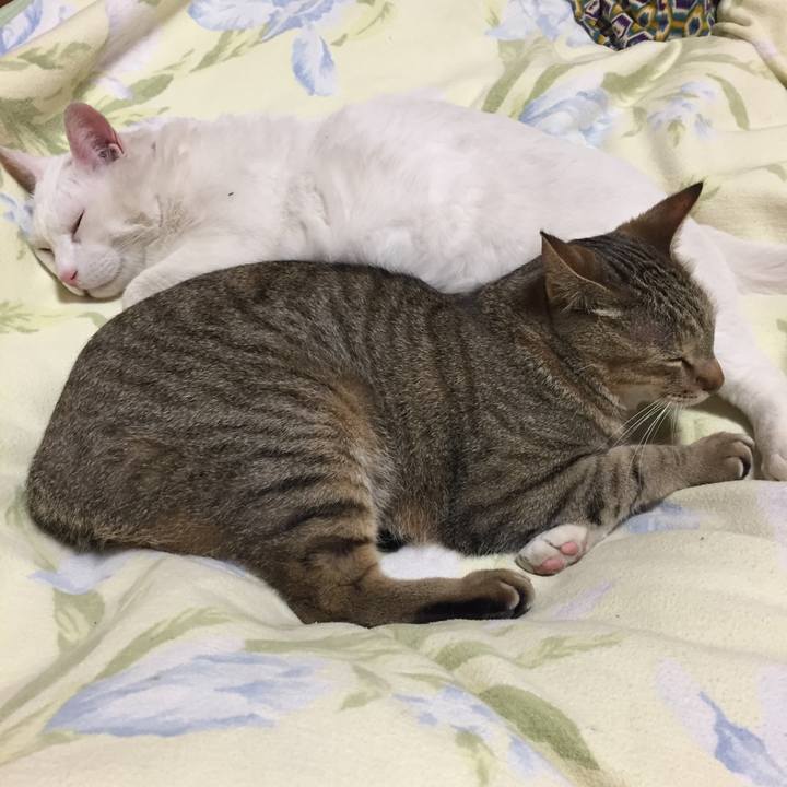 3b5a3579 5fcc 49ba 90f1 0016273fef01