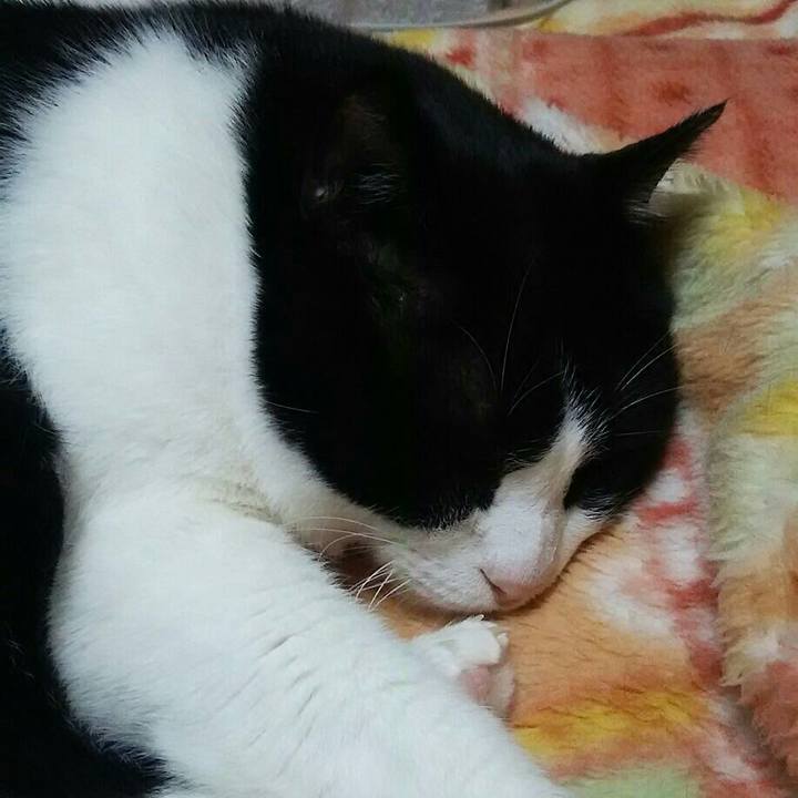 3b5b4c44 ded1 48a2 8863 736a573fb0b7