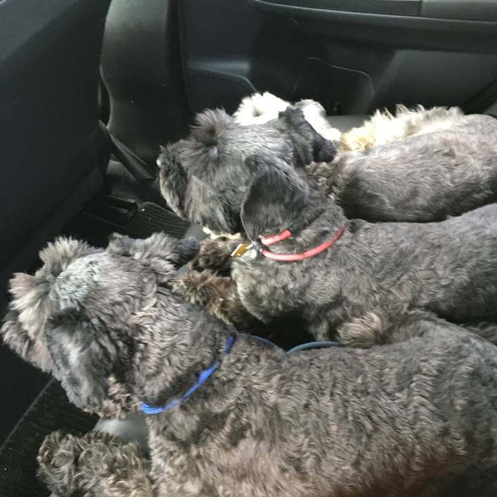 3b5b6217 3da9 4f46 875f 943829722a87