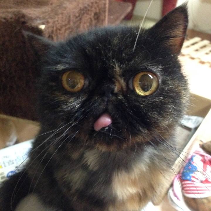 3b5b8f98 4247 4daf bef4 2d59f9450445