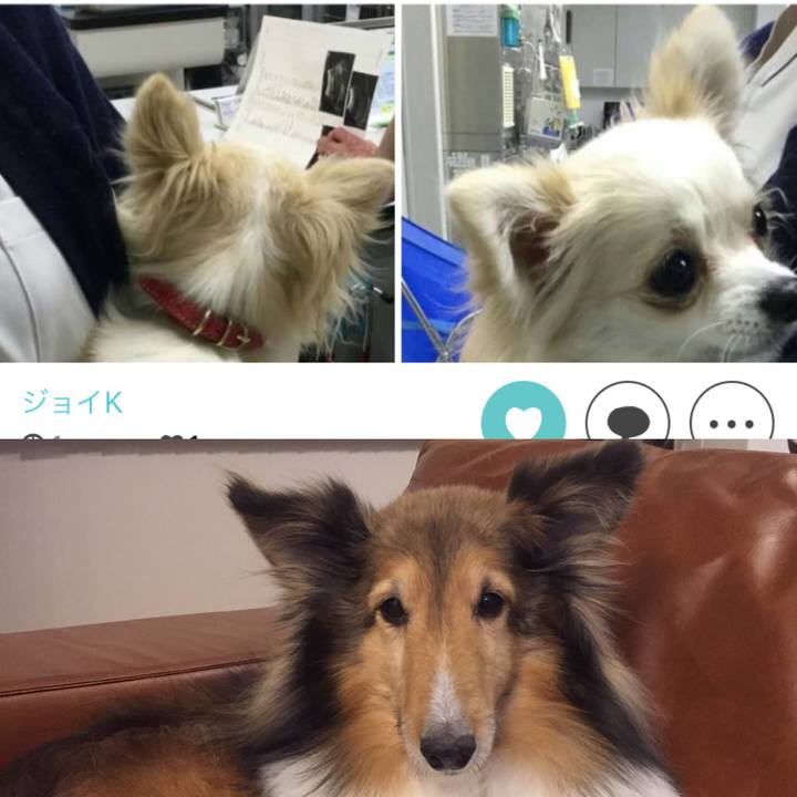 3b5c3e48 b7a4 4a54 9417 4a0110afd61e