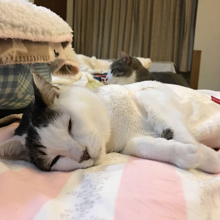 3b5c480a 3a33 48c1 980b 628fb445698a