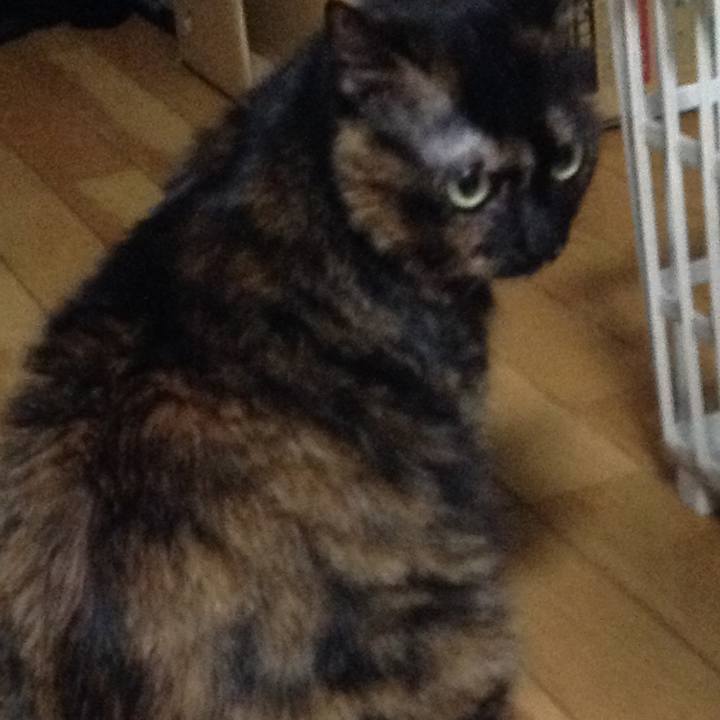 3b5c5f5c 006a 4850 841f 2def6f065552