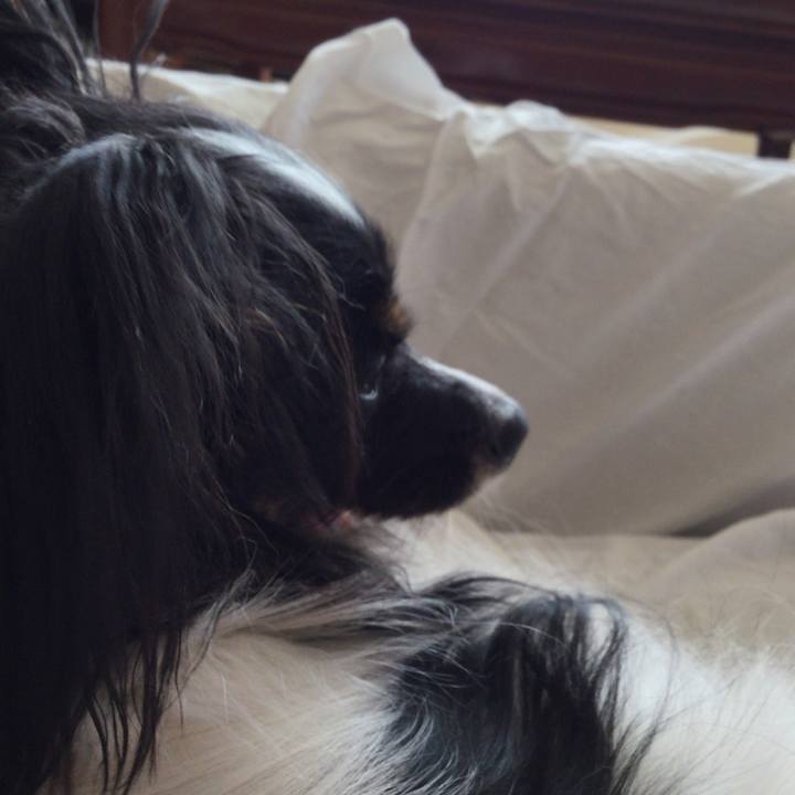 3b5d0687 ae59 4e4c 89d6 e6f5a5b0943c