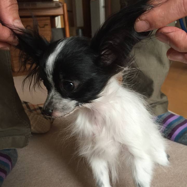 3b5d8834 85b1 4b1e ba66 4a3b503fb0b3