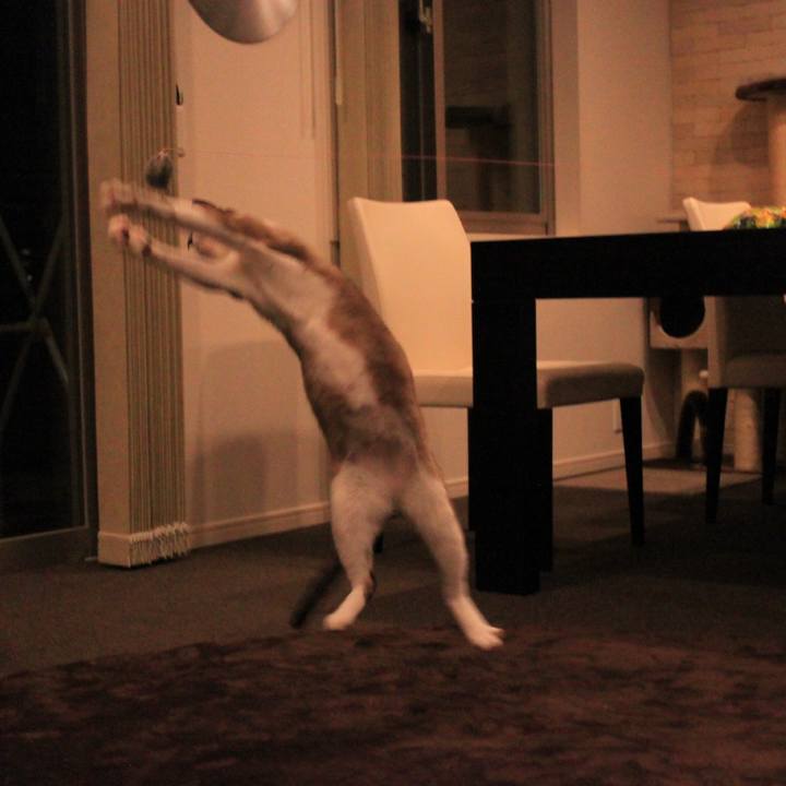 3b5e3469 2c04 4ccc 8098 6da8af5061c0