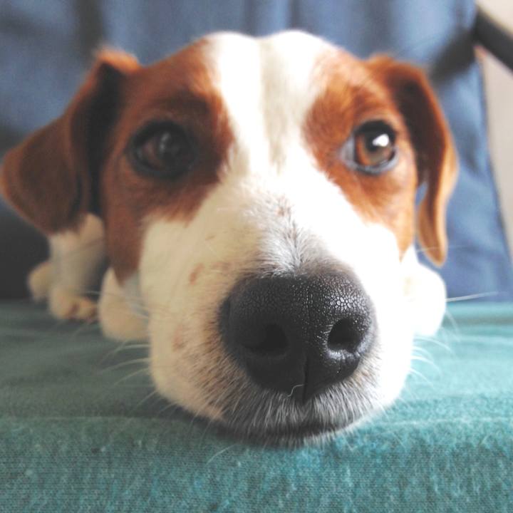 3b5eed7f d5bf 46b8 9641 becc8ce1ca93