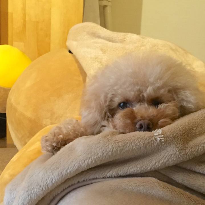 3b5f3bae 8795 4c96 a0c5 b2dbacc70236