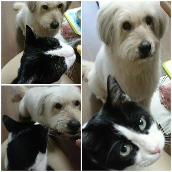 3b5f8e8d 7434 4ef8 b75c 9452959750e8