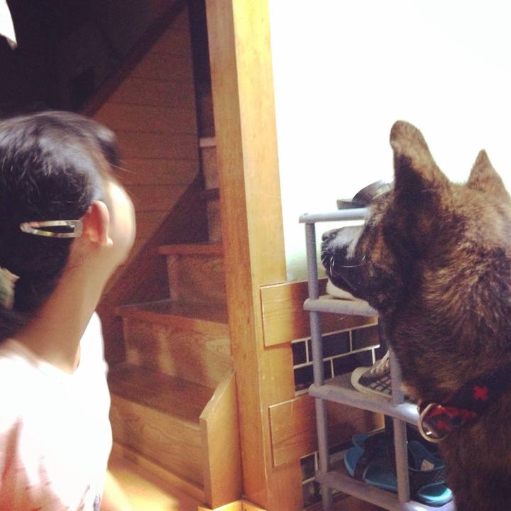 3b5fbea0 fbe7 4322 b586 385edababc49