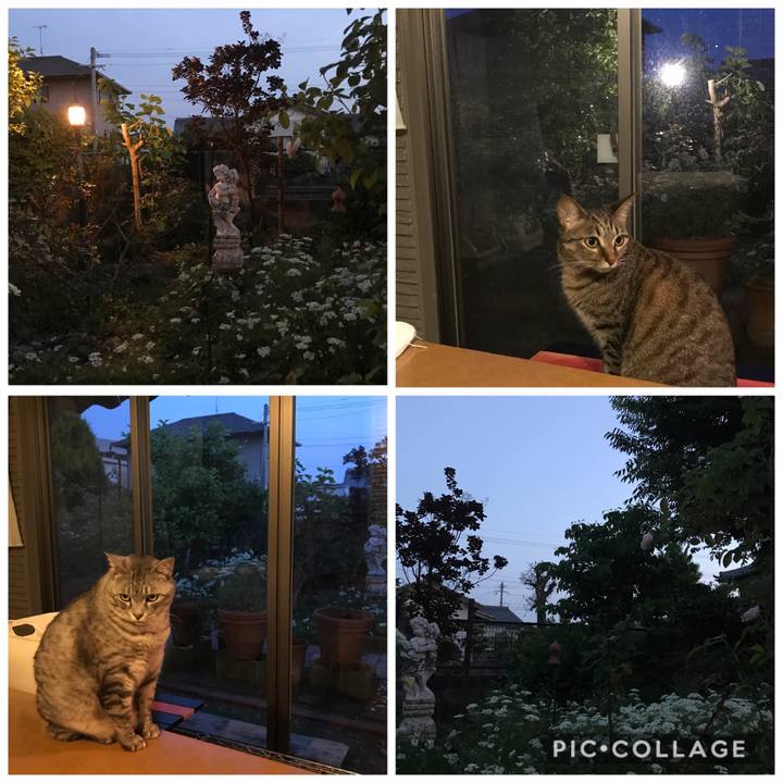 3b603a72 af6d 45d4 90aa a0d11f94df25