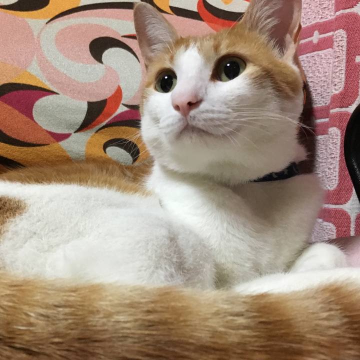 3b60a111 3ae0 4be0 a62f 9f98d1d1470a