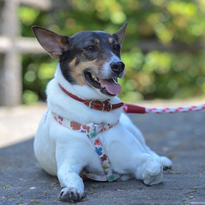 3b60b5b9 7dda 40e3 9855 ba7dcd4906e2