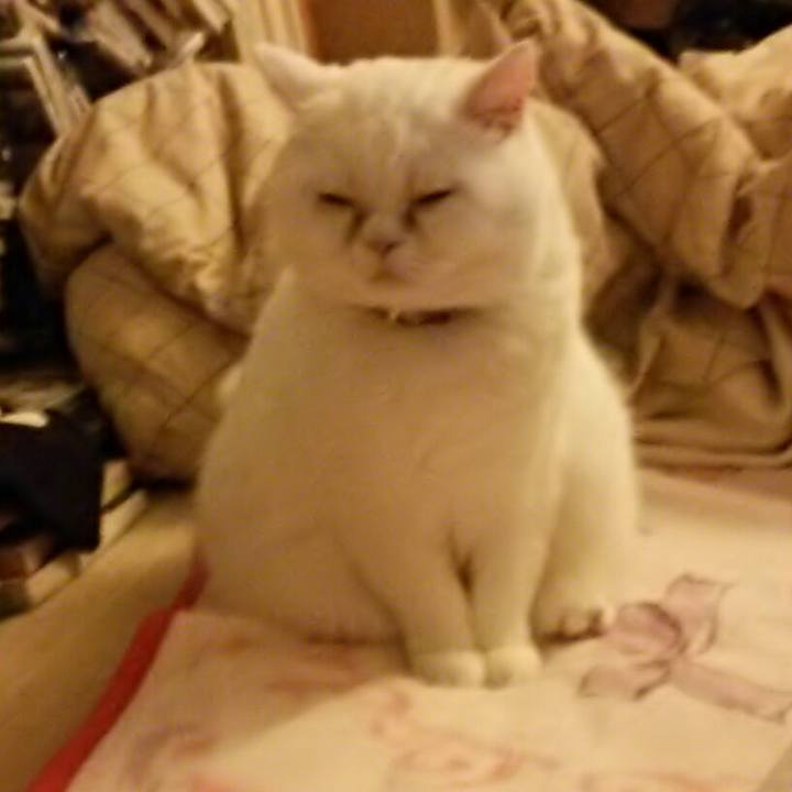 3b60f61f 43f7 4295 b9c6 de67a39bc120