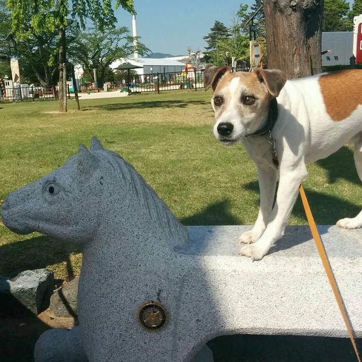 3b614a61 da64 4c62 8124 31f5ad5ebe38