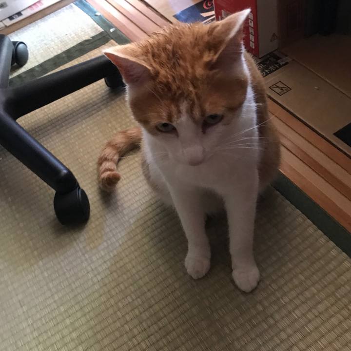 3b62692f 2ca2 4775 8095 0c01b3524d67