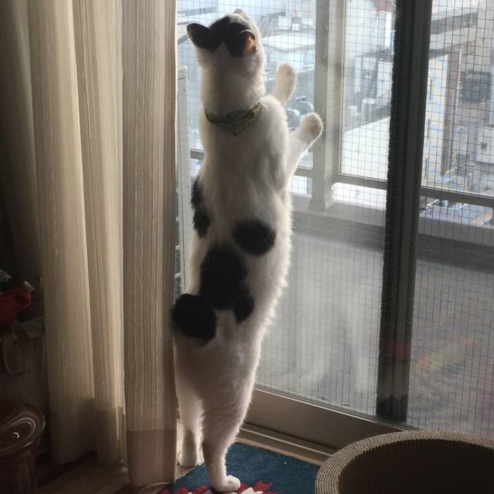 3b627df6 3293 4dc6 b279 87a6fda1a963