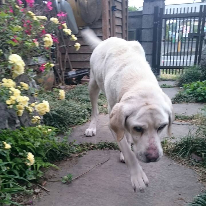 3b62bc0c 778e 4b9c a21c cf614135ea5e