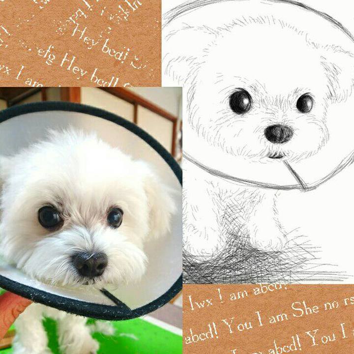 3b638d9f a832 48fd a884 c1eab13a3fc3