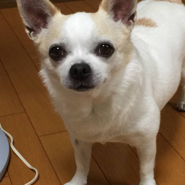 3b63cd23 68a9 4b7d 9d35 7e3963a9a41d