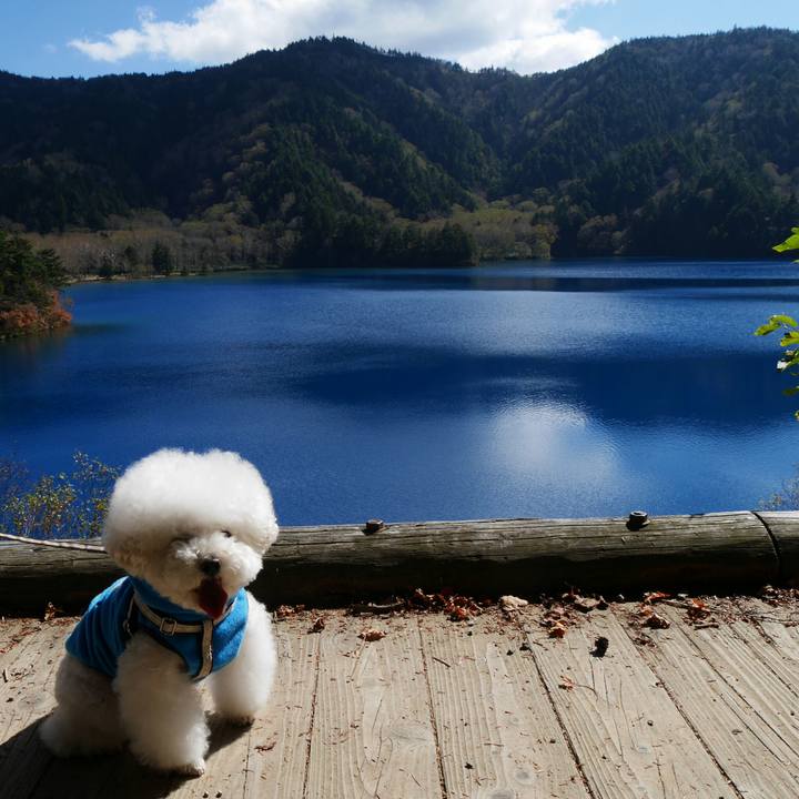 3b63d80a 5b95 4310 8d7a 67636166f855