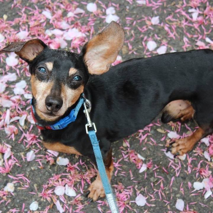 3b6453af 0b81 4f45 a9df 4714ebf4081c