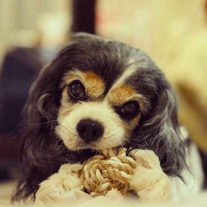 3b646295 3499 4e50 840b dacf61c57c6a