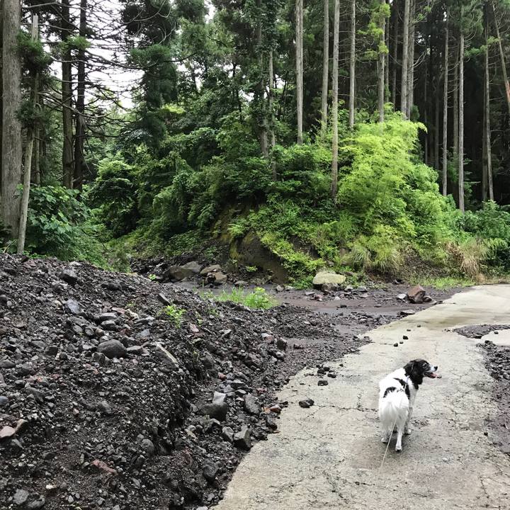 3b647baf 840f 4b44 82ba 085bc71666ac