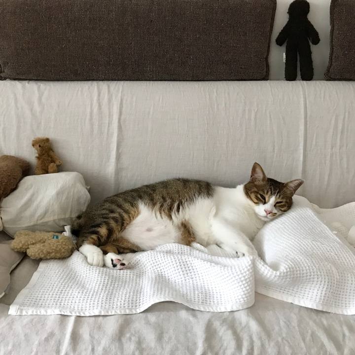 3b64fa5b a3a0 4a33 ad1c 346ebff75ee8