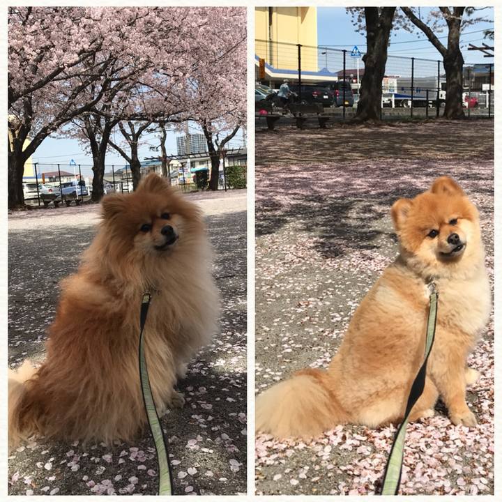 3b66949f 7fc3 4a52 ae4e 600699787598