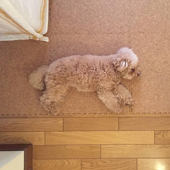 3b681999 cc55 4286 9f1d 0233e213f96b