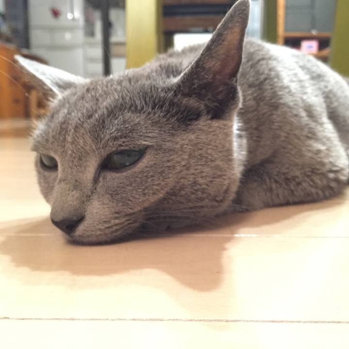 3b684d6e d2a5 43ca 9718 6614c1d864be