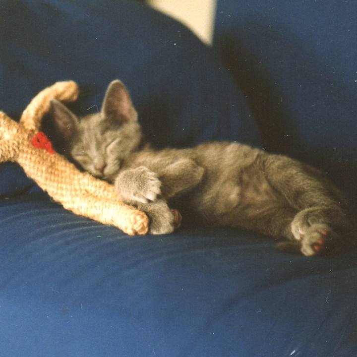 3b69710b bed9 486f bc8d 10770fa7cde8