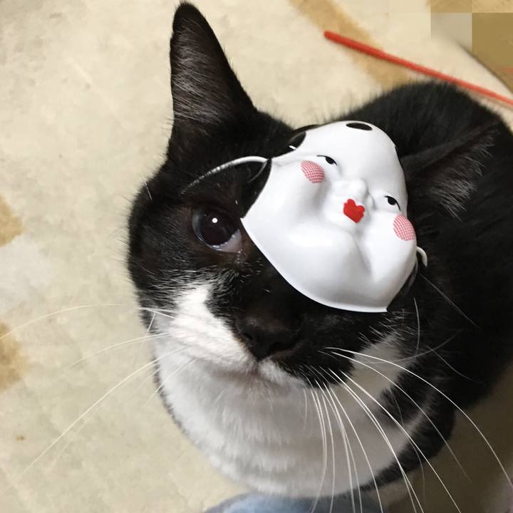 3b69ec72 727c 40a3 8335 af623ec1a9d4