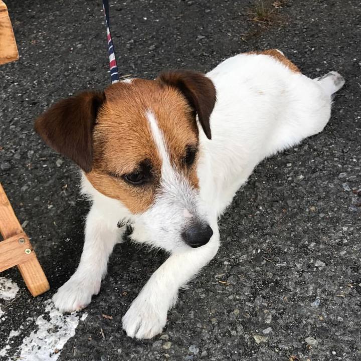 3b6a3062 056b 414f 9b1f 38e684119c51