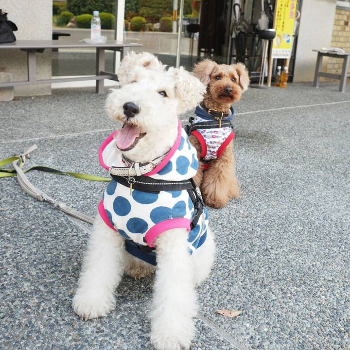 3b6a65cf c01f 48d2 a606 5bd4cbafd128