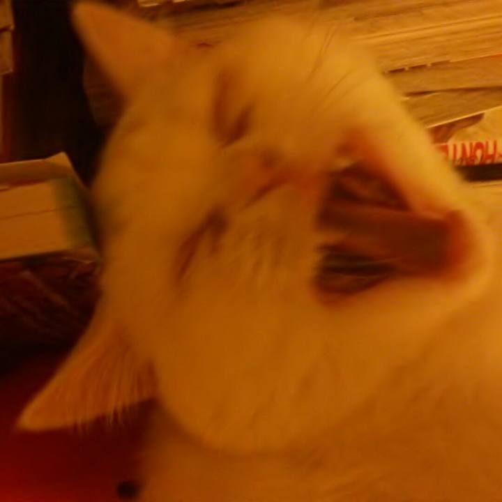 3b6a7142 5560 4a09 a83b e7e3a924e60a