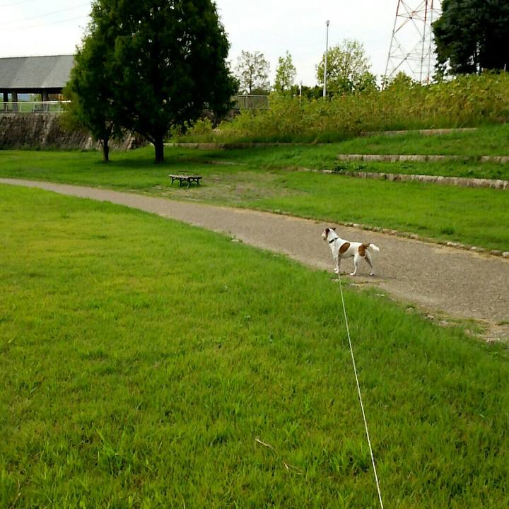 3b6b63b5 086e 4265 ba43 46584b366cd0