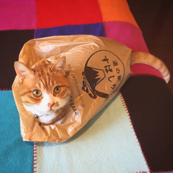 3b6ba018 3f51 438d a006 8545aa9a9816