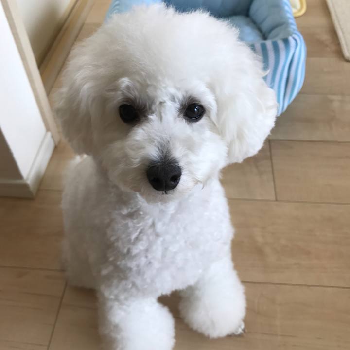 3b6bfd56 2be7 4d63 880d 07e2e1ebfc5e