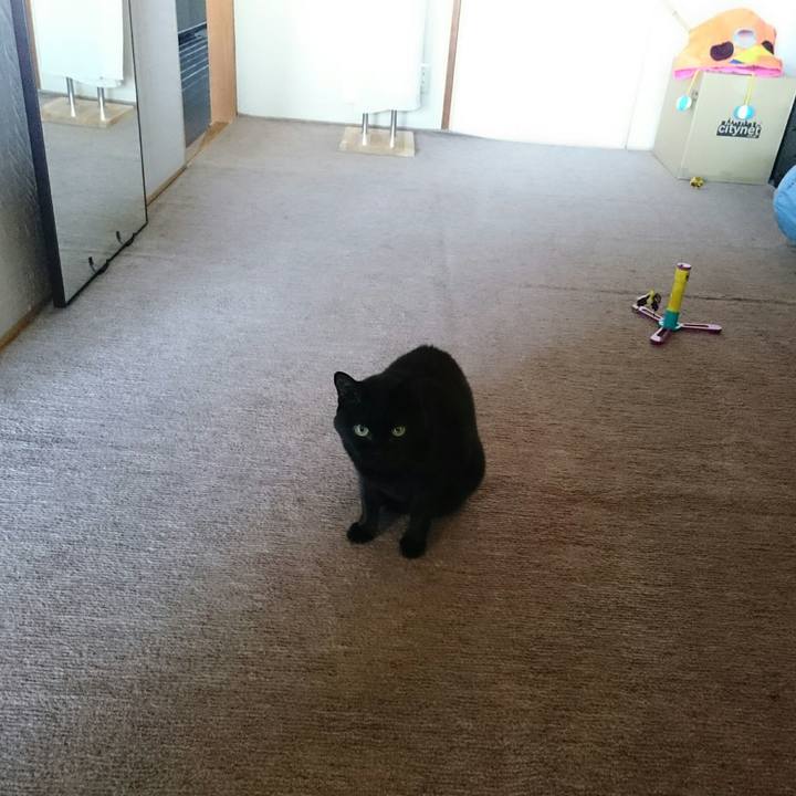 3b6c5b53 948e 4d00 af2d f8df4b2db1f9