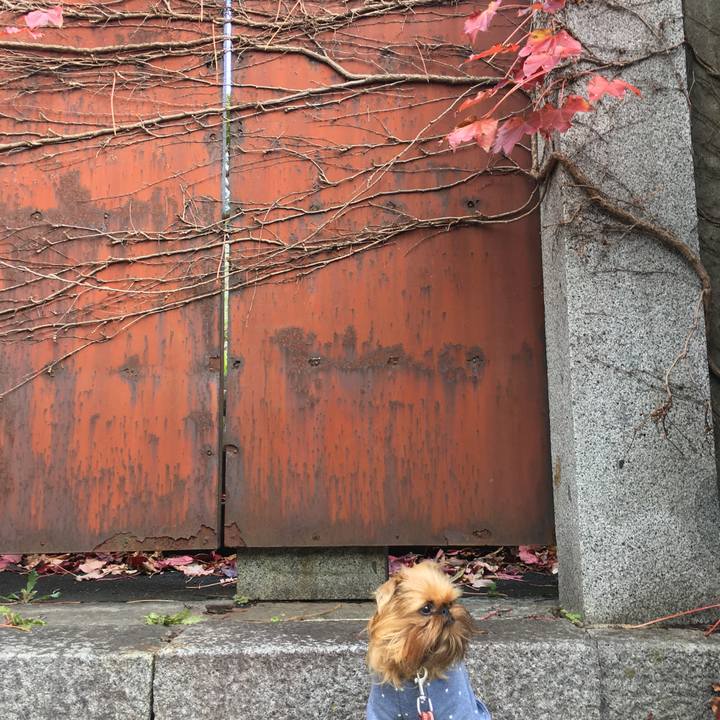 3b6d6f0f 0764 4c76 8a34 943571d67ab3