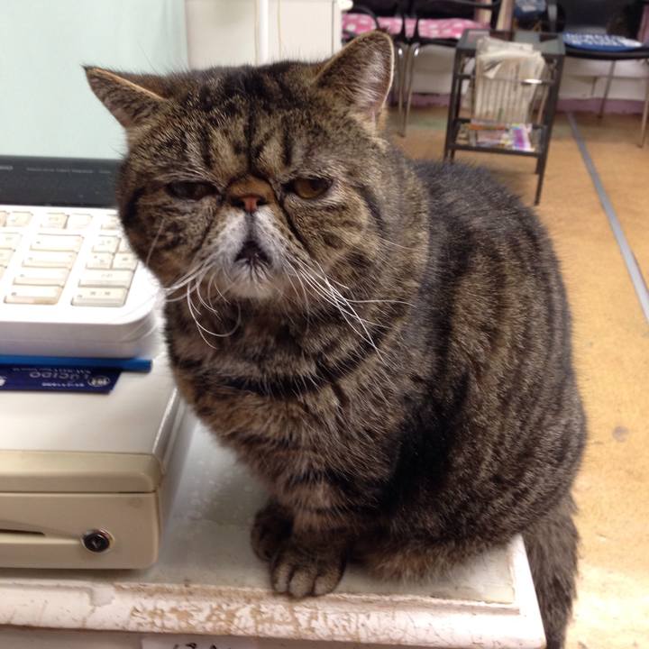 3b6d8f06 daa1 4f19 97ba 96a43b32711b